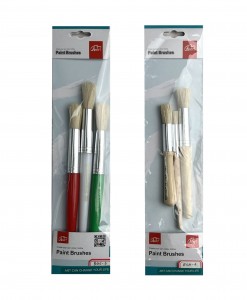 Paint Brushes Set