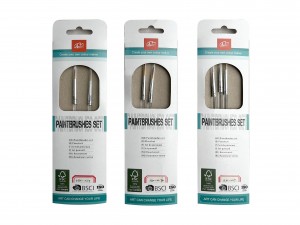 Paint Brushes Set